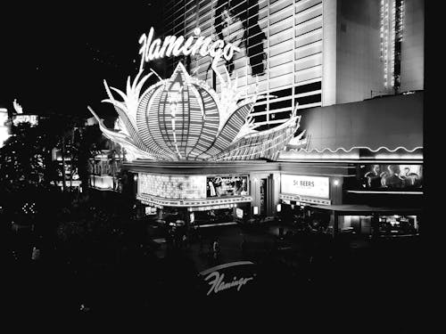 pexels-casino-fun-3776442